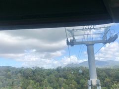 -热带雨林自然公园