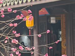 -丝绸小镇荻港古村