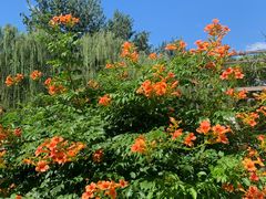 -元大都城垣遗址公园