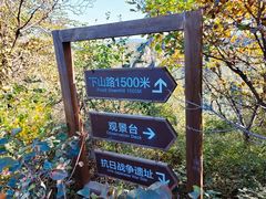-大岭沟猕猴桃谷风景区
