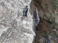 -北京上方山国家森林公园