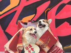 -大芊金重庆串串火锅(南京路店)