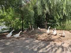 -青龙山国家森林公园