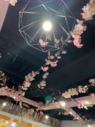 -Ly形象设计