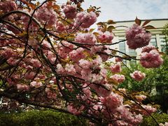 -江南大学(蠡湖校区)