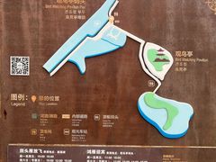 -南大港湿地风景区