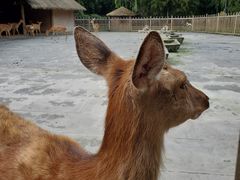-金沙遗址博物馆