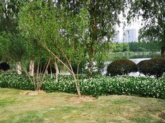 -滨湖塘西河公园