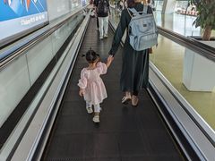 -郑州新郑国际机场-T2航站楼