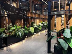 -齐函杨佳清真烤肉(鑫海店)