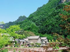 -王莽岭风景区