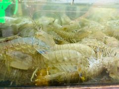 -桥东喜碧海鲜街(水东街店)