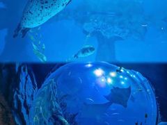 -香港海洋公园