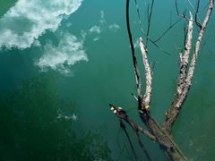 -叠溪松坪沟景区