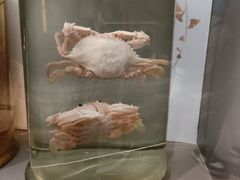 -正佳自然科学博物馆