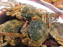 -红灯笼龙凤饭店(宁波老字号店)