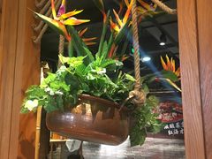 -云海肴·汽锅鸡·云南菜(天山百盛优客店)