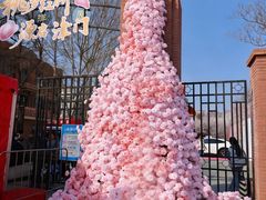-桃花堤公园