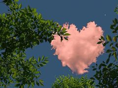 -考拉拉音乐酒吧