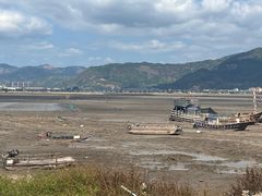 -北岐滩涂