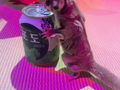 -蓝鲸湾汤泉(包河店)