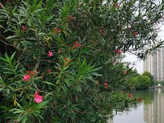 -苏州河梦清园环保主题公园