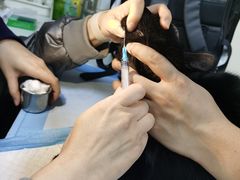 -美联众合动物医院·24h转诊中心