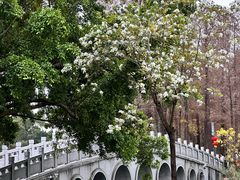 -四海公园(南山区)