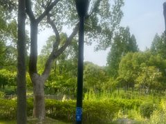 -宝界山林公园