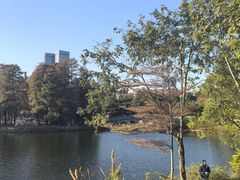 -四海公园(南山区)