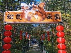 -五营红松林海景区