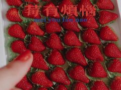 -西郊国际农产品交易中心