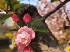 -元大都城垣遗址公园