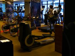 -健身专家Wellness Experts