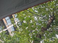 -朱大嘴肥肠血旺(福字街店)