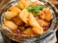 牛筋萝卜煲-七菜馆·东北菜·蒸饺(文体路店)