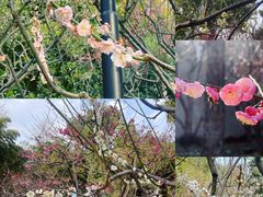-静安雕塑公园
