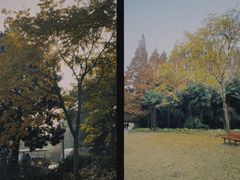 -上海滨江森林公园