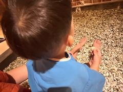 -星河湾温泉洗浴酒店