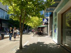 -鹿港小镇(中关村店)