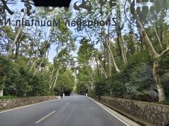-灵谷景区