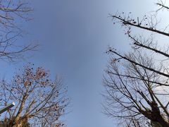 -潜龙渠公园