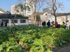 -绍兴鲁迅故里·沈园景区