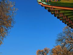 -景福宫
