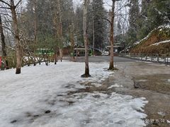 -龙苍沟森林公园