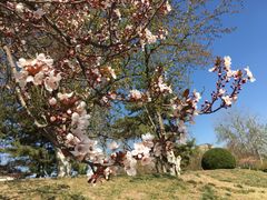 餐饮设施-元大都城垣遗址公园
