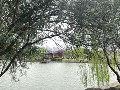 -江心屿景区