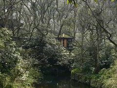 -湖畔居茶楼(湖滨店)