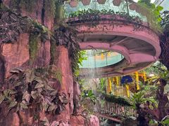 -正佳雨林生态植物园