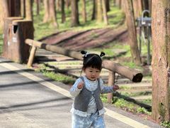 -山王坪喀斯特国家生态公园